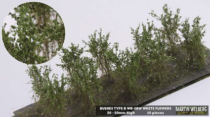 Picture of Martin Welberg - Bushes Type B - White Flowers