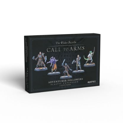 Picture of Elder Scrolls Call To Arms: Adventurer Followers
