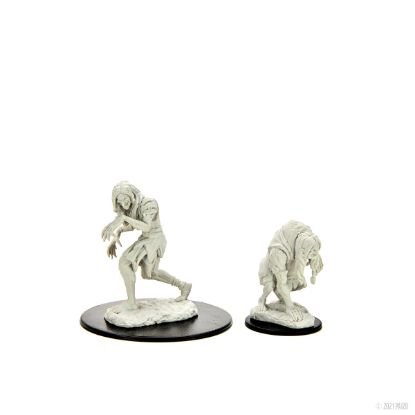 Picture of Pathfinder Deep Cuts: Annis Hag & Green Hag (WZK90266)