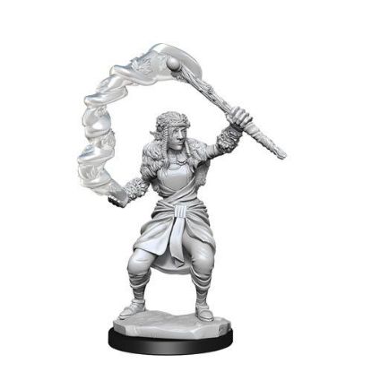 Picture of D&D Nolzurs Marvelous: Firbolg Female Druid (WZK90146)