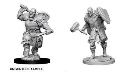 Picture of D&D Nolzurs Marvelous: Goliath Male Barbarian (WZK73541)