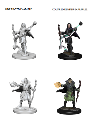 Picture of Pathfinder Deep Cuts: Elf Male Sorcerer (WZK72605)