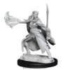 Picture of D&D Nolzurs Marvelous: Winter Eladrin & Spring Eladrin (WZK90320)