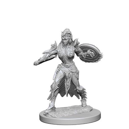Picture of Pathfinder Deep Cuts: Elf Female Fighter (WZK72599)