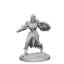 Picture of Pathfinder Deep Cuts: Elf Female Fighter (WZK72599)