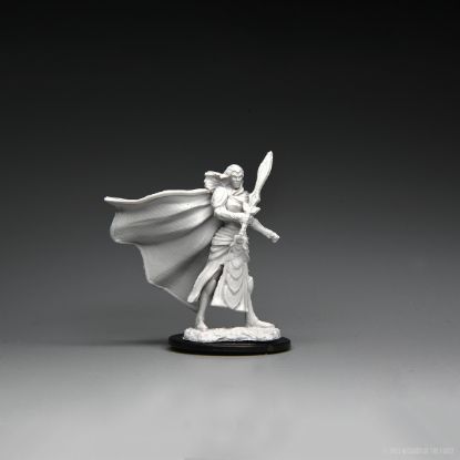 Picture of Magic the Gathering - Mini - Elf Fighter & Elf Cleric (WZK90279)