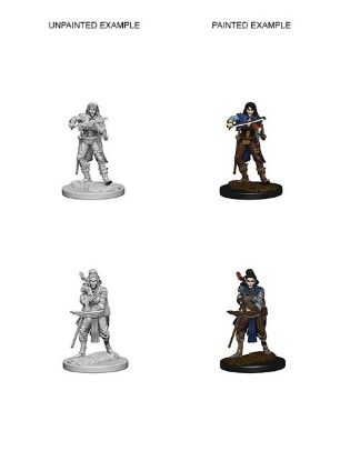 Picture of Pathfinder Deep Cuts: Elf Female Bard (WZK72611)