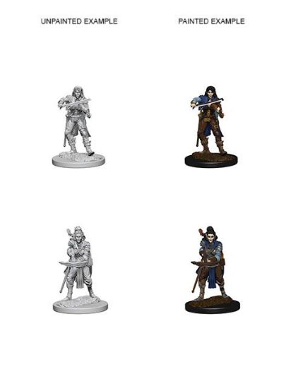 Picture of Pathfinder Deep Cuts: Elf Female Bard (WZK72611)