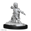 Picture of Pathfinder Deep Cuts: Halfing Monk Male (WZK90328)