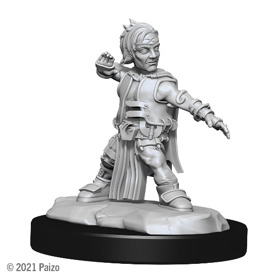Picture of Pathfinder Deep Cuts: Halfing Monk Male (WZK90328)
