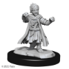 Picture of Pathfinder Deep Cuts: Halfing Monk Male (WZK90328)