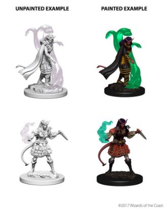 Picture of D&D Nolzurs Marvelous: Tiefling Female Sorcerer (WZK73202)