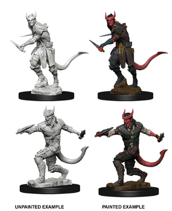 Picture of D&D Nolzurs Marvelous: Tiefling Male Rogue (WZK73338)