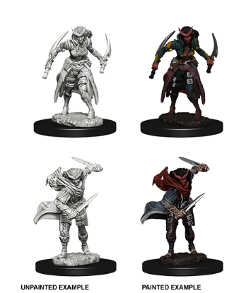 Picture of D&D Nolzurs Marvelous: Tiefling Female Rogue (WZK73339)