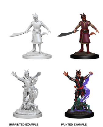 Picture of D&D Nolzurs Marvelous: Tiefling Male Warlock (WZK73388)