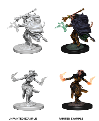 Picture of D&D Nolzurs Marvelous: Tiefling Female Warlock (WZK73389)