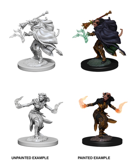 Picture of D&D Nolzurs Marvelous: Tiefling Female Warlock (WZK73389)