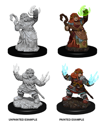 Picture of Pathfinder Deep Cuts: Dwarf Female Sorcerer (WZK73543)
