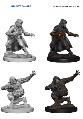 Picture of Pathfinder Deep Cuts: Human Male Rogue (WZK72602)