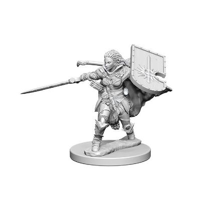 Picture of Pathfinder Deep Cuts: Human Female Paladin (WZK72607)