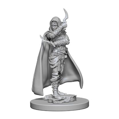 Picture of Pathfinder Deep Cuts: Human Female Rogue (WZK72603)