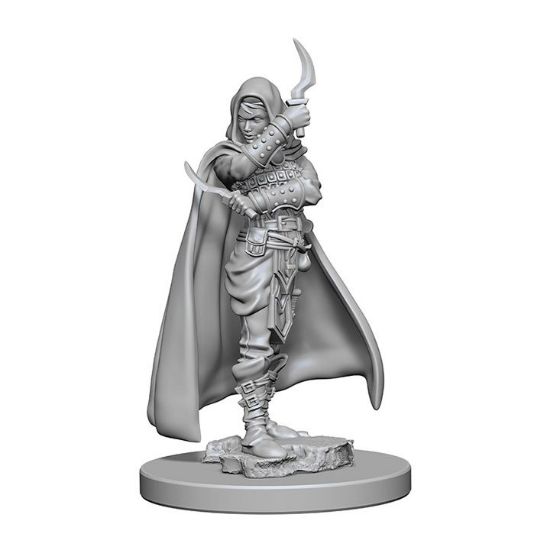 Picture of Pathfinder Deep Cuts: Human Female Rogue (WZK72603)
