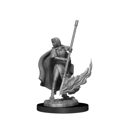 Picture of Pathfinder Deep Cuts: Human Female Oracle (wzk90044))