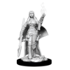 Picture of Pathfinder Deep Cuts: Human Female Oracle (wzk90044))
