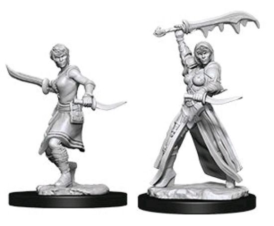 Picture of D&D Nolzurs Marvelous: Human Female Rogue (WZK73831)