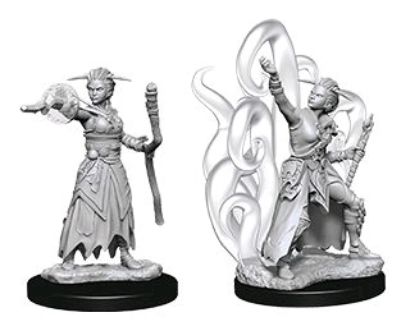 Picture of D&D Nolzurs Marvelous: Human Female Warlock (WZK73837)