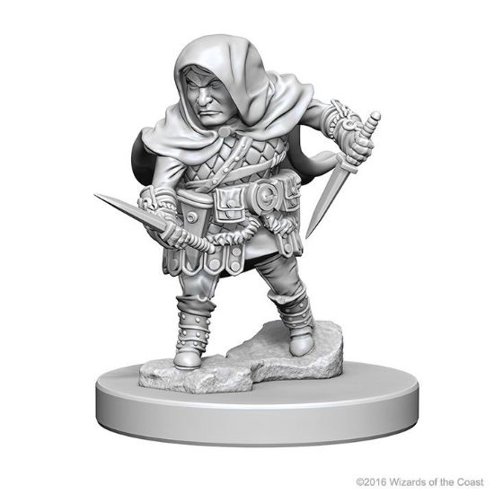 Picture of D&D Nolzurs Marvelous: Halfling Male Rogue (WZK72626)