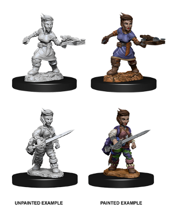 Picture of Pathfinder Deep Cuts: Halfling Female Rogue (WZK73695)
