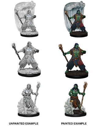Picture of D&D Nolzurs Marvelous: Water Genasi Male Druid (WZK73337)