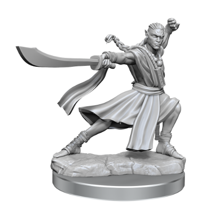 Picture of D&D Frameworks: Elf Monk Male