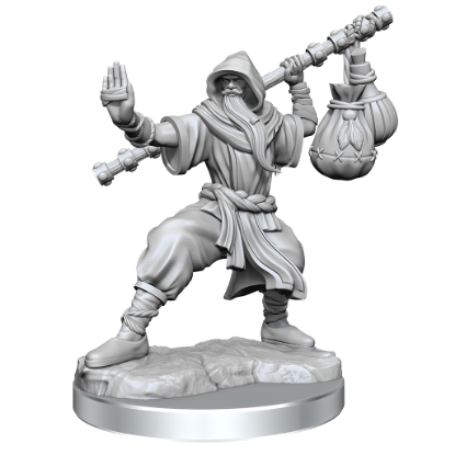Picture of D&D Frameworks: Human Monk Male