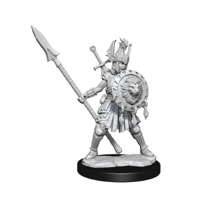 Picture of D&D Frameworks: Human Fighter Female