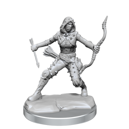 Picture of D&D Frameworks: Human Rogue Female