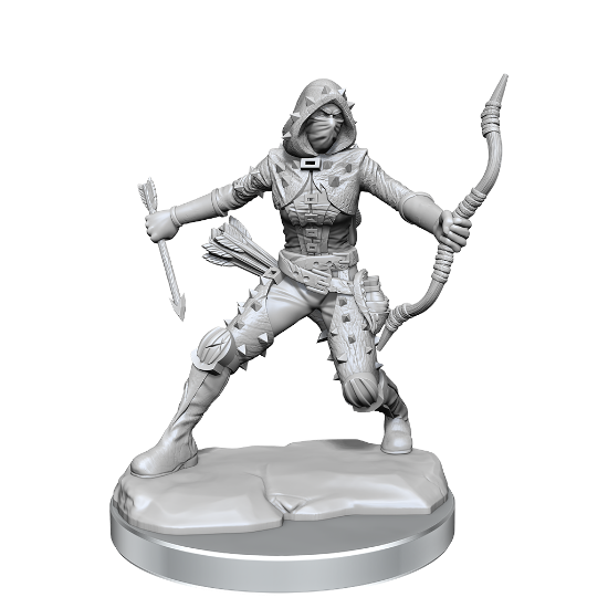 Picture of D&D Frameworks: Human Rogue Female