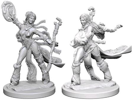 Picture for category Miniatures