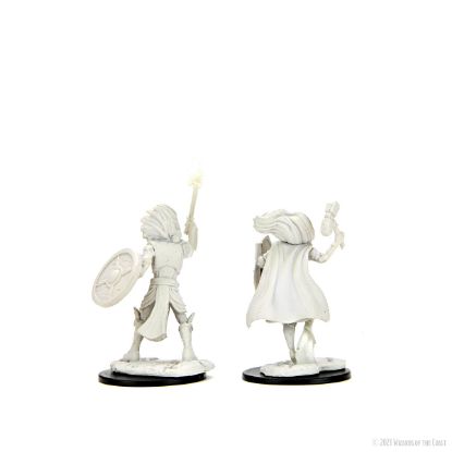 Picture of D&D Nolzurs Marvelous: Changeling Cleric Male (WZK90237)