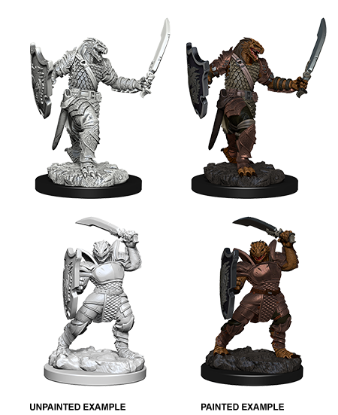 Picture of D&D Nolzurs Marvelous: Dragonborn Female Paladin (WZK73341)