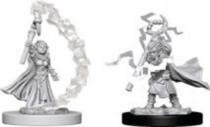 Picture of D&D Nolzurs Marvelous: Gnome Female Sorcerer (WZK73345)