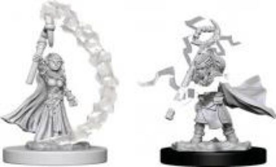 Picture of D&D Nolzurs Marvelous: Gnome Female Sorcerer (WZK73345)