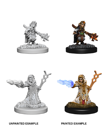 Picture of D&D Nolzurs Marvelous: Gnome Female Wizard (WZK73383)
