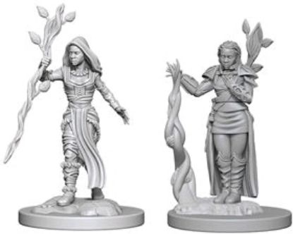 Picture of D&D Nolzurs Marvelous: Human Female Druid #1 (WZK72640)