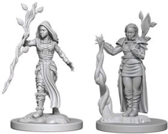 Picture of D&D Nolzurs Marvelous: Human Female Druid #1 (WZK72640)