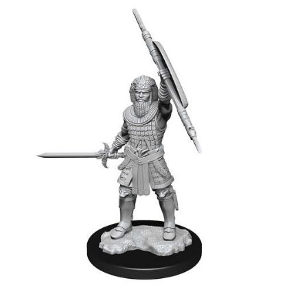 Picture of D&D Nolzurs Marvelous: Human Male Fighter (WZK90144)