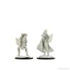 Picture of D&D Nolzurs Marvelous: Kalashtar Cleric Female (WZK90233)