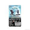 Picture of D&D Nolzurs Marvelous: Kalashtar Cleric Female (WZK90233)