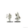 Picture of D&D Nolzurs Marvelous: Kalashtar Cleric Female (WZK90233)